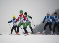 nordisch-cm-6.jpg