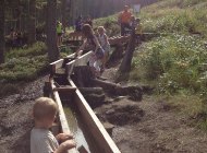 foto4.jpg